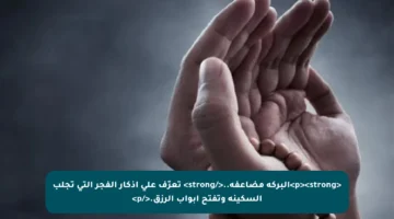 <p><strong>البركة مضاعفة..</strong> تعرّف على أذكار الفجر التي تجلب السكينة وتفتح أبواب الرزق.</p>